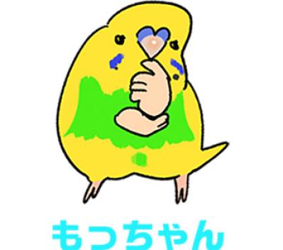 おやつを捨て、毛がゴワゴワ。少し心配になったカチョの一日【鳥マンガ #143】（サムネイル画像3）