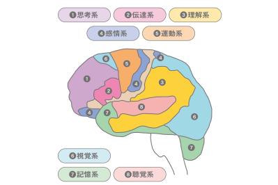 医師が語る【運動負債】の恐ろしい影響。「風邪で寝込んだだけで認知機能が落ちる」改善のカギは【ウォーキング】！？