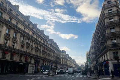 【パリ在住30年のライターが案内】パリっ子の新定番！オリーブオイル香る“ヘルシーごはん”を現地で巡る