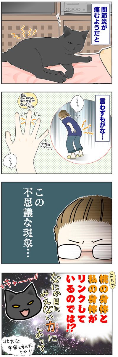 【マンガ・老猫日誌＃52】目に見えない不思議な力！？が働く〜19歳の元保護猫・桃姐（サムネイル画像3）