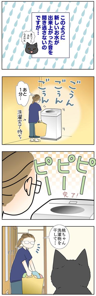 【マンガ・老猫日誌＃47】新しい水は音で見分ける？〜19歳の元保護猫・桃姐（サムネイル画像3）