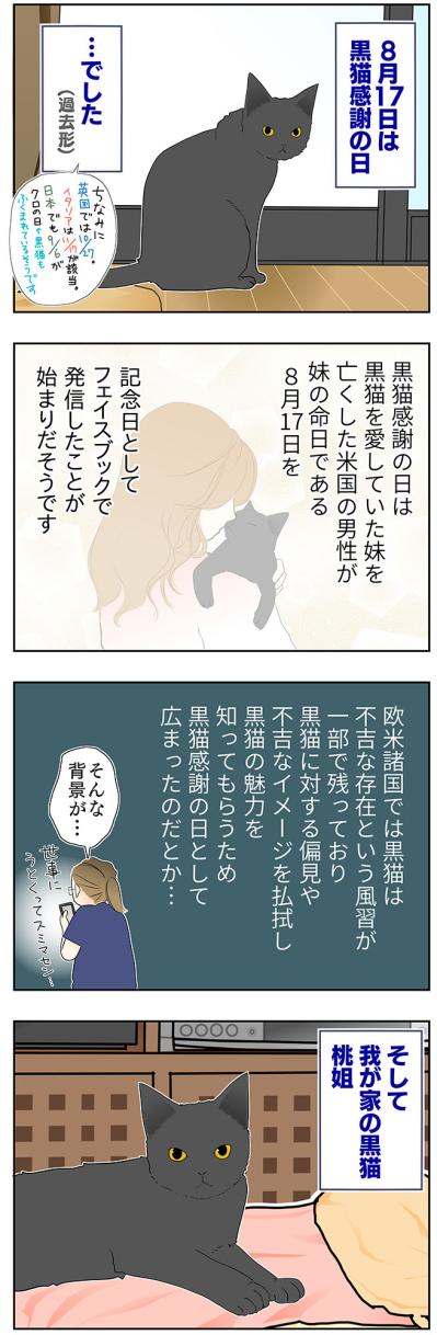 【マンガ・老猫日誌＃53】すべての始まりになった老猫に感謝する日〜19歳の元保護猫・桃姐（サムネイル画像2）