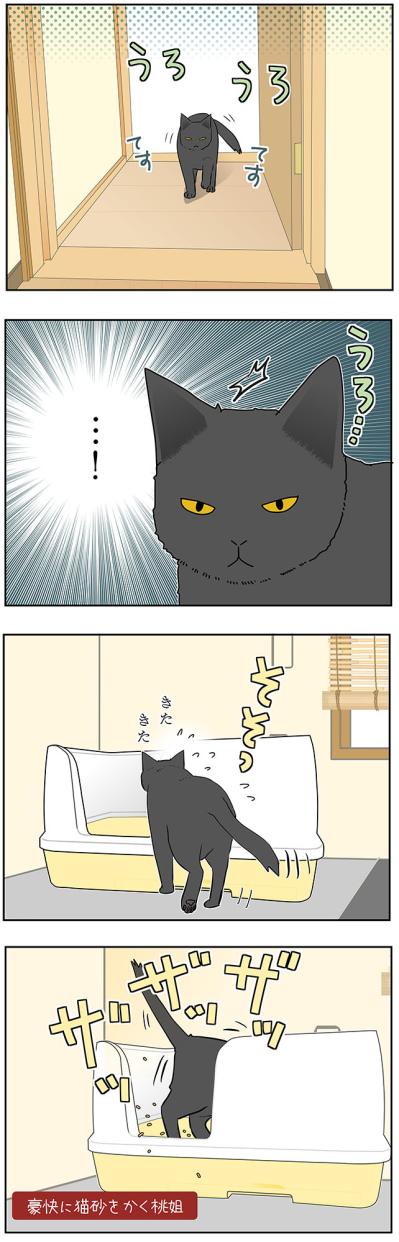 【マンガ・老猫日誌＃46】トイレの前にウロウロする理由は？〜19歳の元保護猫・桃姐（サムネイル画像4）