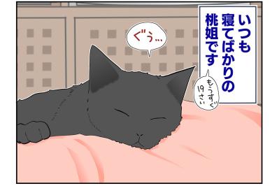 【マンガ・老猫日誌＃46】トイレの前にウロウロする理由は？〜19歳の元保護猫・桃姐