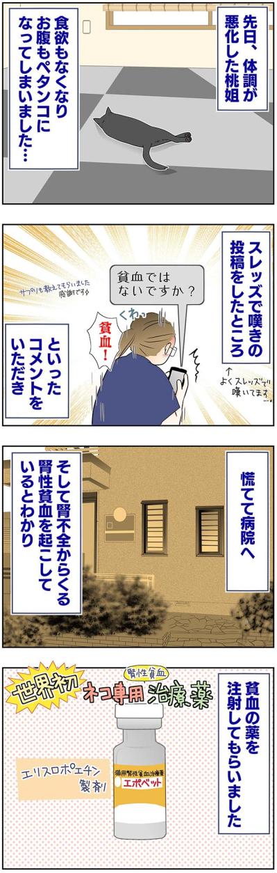 【マンガ・老猫日誌＃49】再びの奇跡？〜19歳の元保護猫・桃姐（サムネイル画像2）