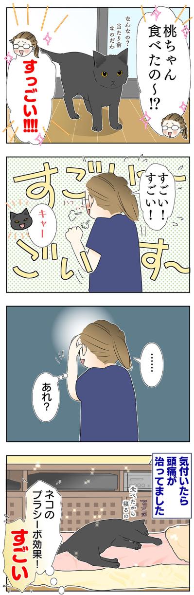 【マンガ・老猫日誌＃51】猫のプラシーボ効果！？〜19歳の元保護猫・桃姐（サムネイル画像4）