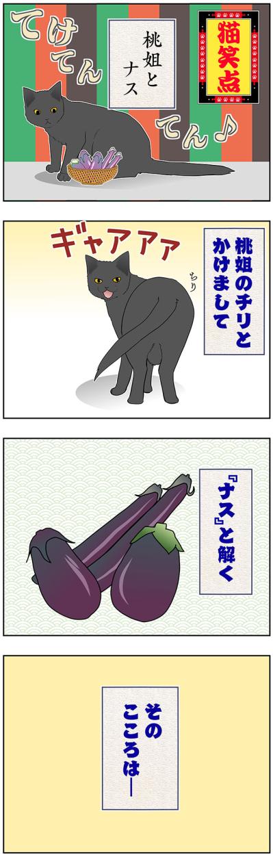 【マンガ・老猫日誌＃54】老猫とナスの謎かけ？〜19歳の元保護猫・桃姐（サムネイル画像2）