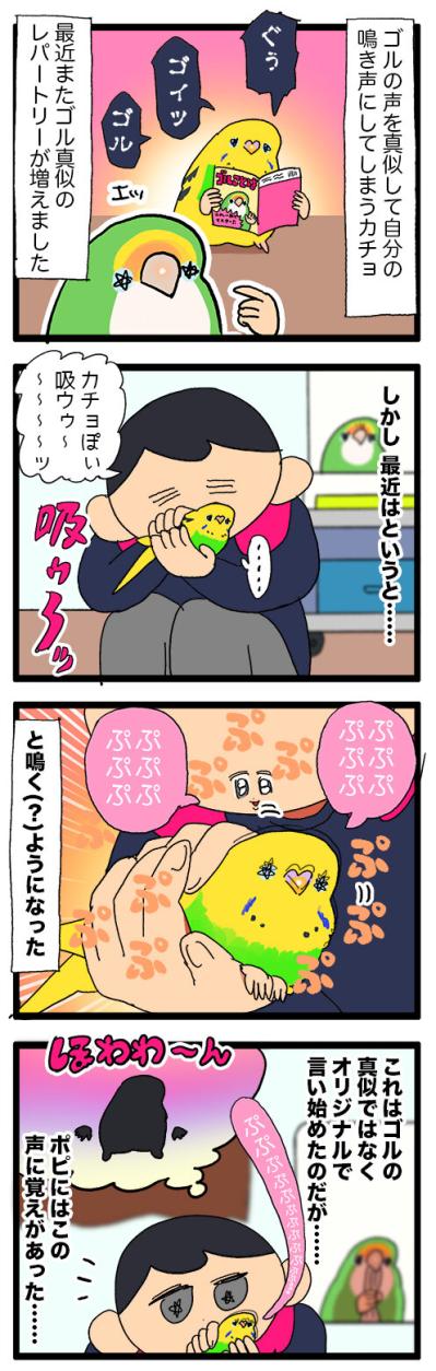 シャッターチャンス逃しがちな飼い主あるある！？＆インコぷぷぷの秘密【鳥マンガ #149】（サムネイル画像6）