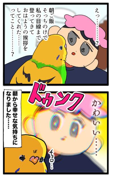 換羽後の暴走：愛とエネルギーが止まらないセキセイインコ【鳥マンガ #148】（サムネイル画像5）