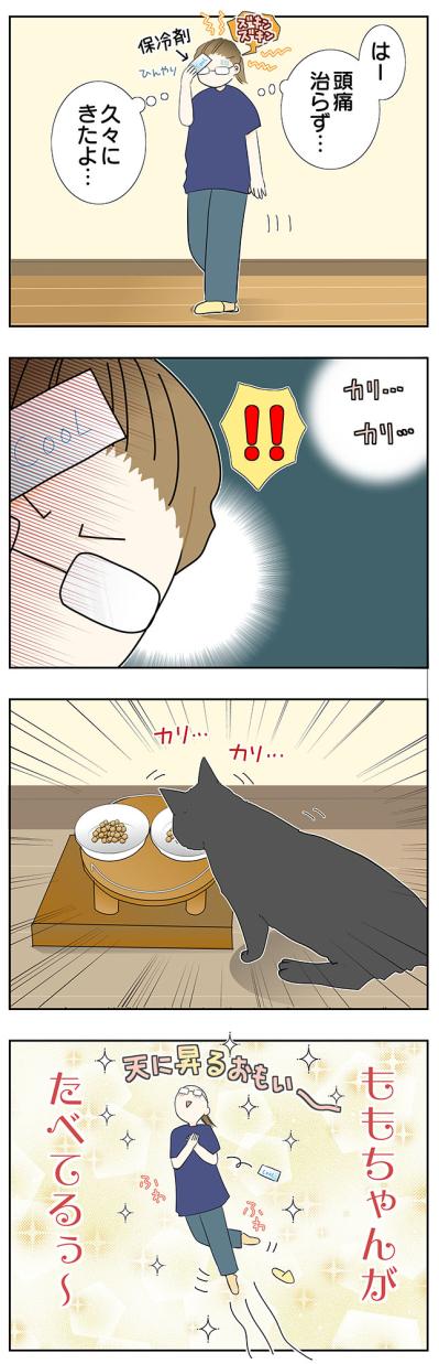 【マンガ・老猫日誌＃51】猫のプラシーボ効果！？〜19歳の元保護猫・桃姐（サムネイル画像3）