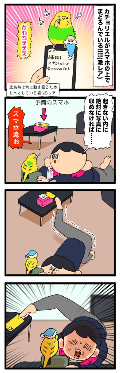 シャッターチャンス逃しがちな飼い主あるある！？＆インコぷぷぷの秘密【鳥マンガ #149】（サムネイル画像4）