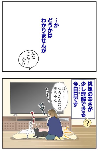 【マンガ・老猫日誌＃52】目に見えない不思議な力！？が働く〜19歳の元保護猫・桃姐（サムネイル画像4）
