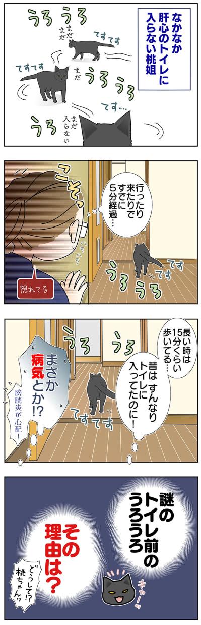 【マンガ・老猫日誌＃46】トイレの前にウロウロする理由は？〜19歳の元保護猫・桃姐（サムネイル画像3）