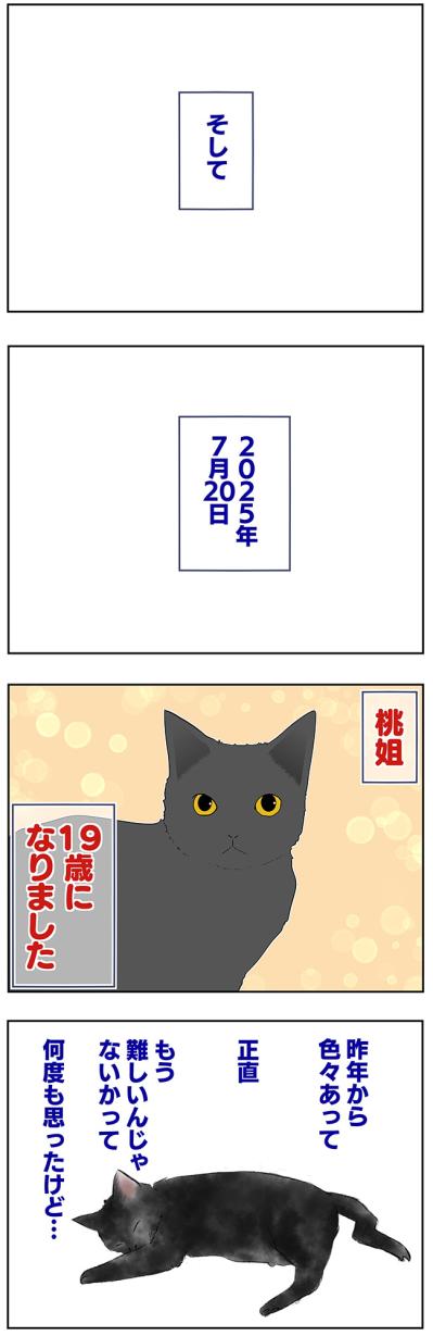 【マンガ・老猫日誌＃50】（祝）19歳になりました〜19歳の元保護猫・桃姐（サムネイル画像4）