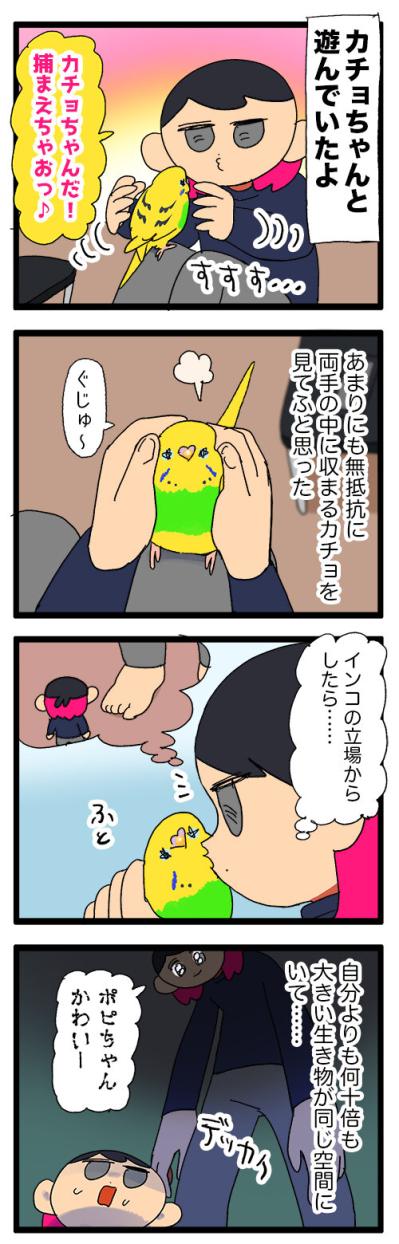破壊からキュンへ ― セキセイインコ・カチョリエルの二面劇【鳥マンガ #150】（サムネイル画像5）