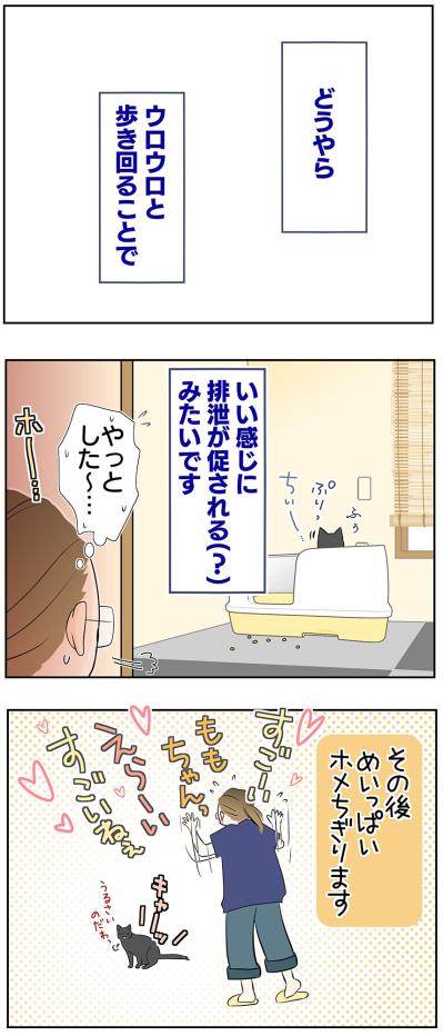 【マンガ・老猫日誌＃46】トイレの前にウロウロする理由は？〜19歳の元保護猫・桃姐（サムネイル画像5）