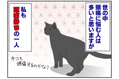 【マンガ・老猫日誌＃51】猫のプラシーボ効果！？〜19歳の元保護猫・桃姐
