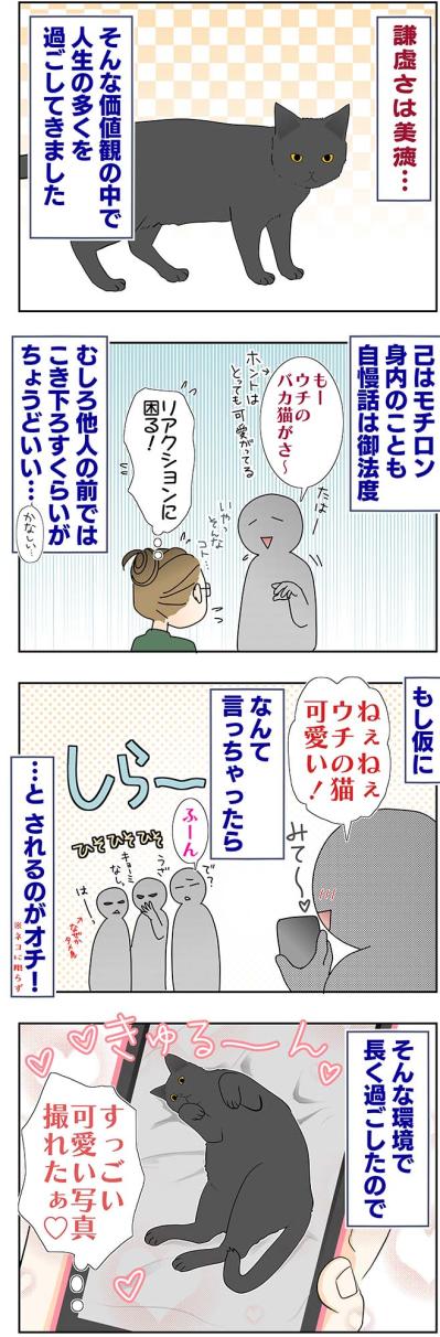 【マンガ・老猫日誌＃50】（祝）19歳になりました〜19歳の元保護猫・桃姐（サムネイル画像2）