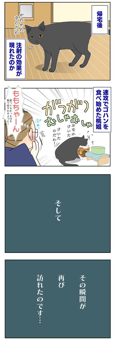 【マンガ・老猫日誌＃49】再びの奇跡？〜19歳の元保護猫・桃姐（サムネイル画像3）