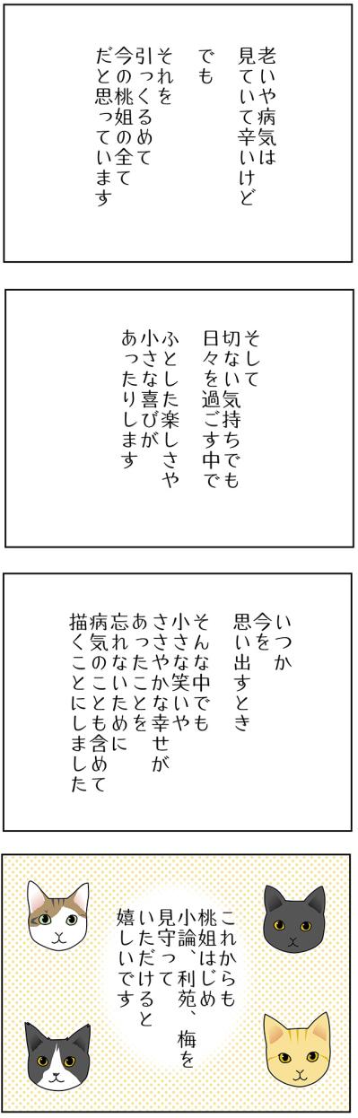 【マンガ・老猫日誌＃49】再びの奇跡？〜19歳の元保護猫・桃姐（サムネイル画像5）
