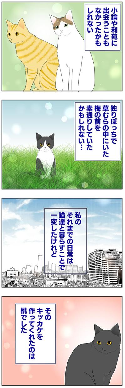 【マンガ・老猫日誌＃53】すべての始まりになった老猫に感謝する日〜19歳の元保護猫・桃姐（サムネイル画像4）