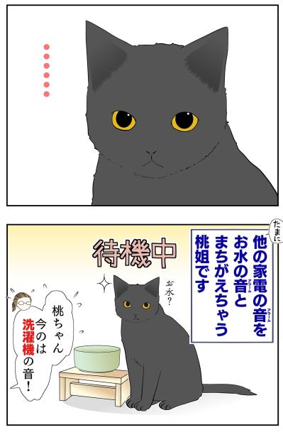 【マンガ・老猫日誌＃47】新しい水は音で見分ける？〜19歳の元保護猫・桃姐（サムネイル画像4）