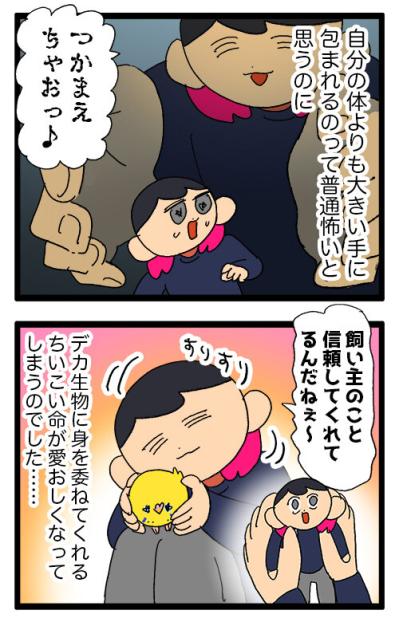 破壊からキュンへ ― セキセイインコ・カチョリエルの二面劇【鳥マンガ #150】（サムネイル画像6）