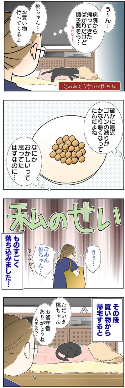 【マンガ・老猫日誌＃48】あなたが『ここ』にいるから頑張れる〜19歳の元保護猫・桃姐（サムネイル画像3）