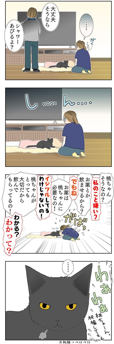 【マンガ・老猫日誌＃55】桃姐から嫌われちゃった！？〜19歳の元保護猫・桃姐（サムネイル画像4）