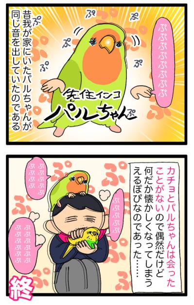 シャッターチャンス逃しがちな飼い主あるある！？＆インコぷぷぷの秘密【鳥マンガ #149】（サムネイル画像7）