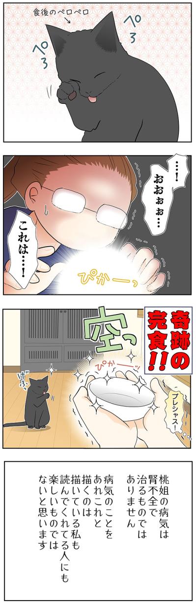 【マンガ・老猫日誌＃49】再びの奇跡？〜19歳の元保護猫・桃姐（サムネイル画像4）