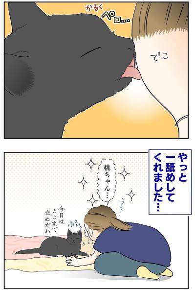 【マンガ・老猫日誌＃55】桃姐から嫌われちゃった！？〜19歳の元保護猫・桃姐（サムネイル画像5）