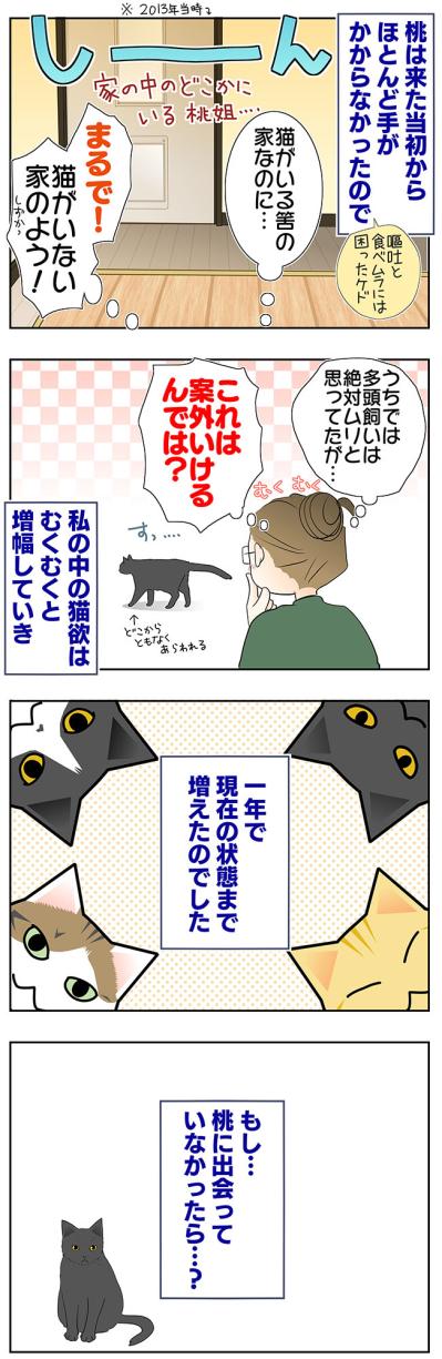 【マンガ・老猫日誌＃53】すべての始まりになった老猫に感謝する日〜19歳の元保護猫・桃姐（サムネイル画像3）