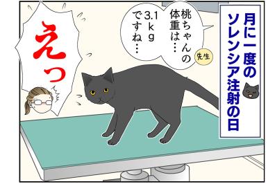 【マンガ・老猫日誌＃48】あなたが『ここ』にいるから頑張れる〜19歳の元保護猫・桃姐