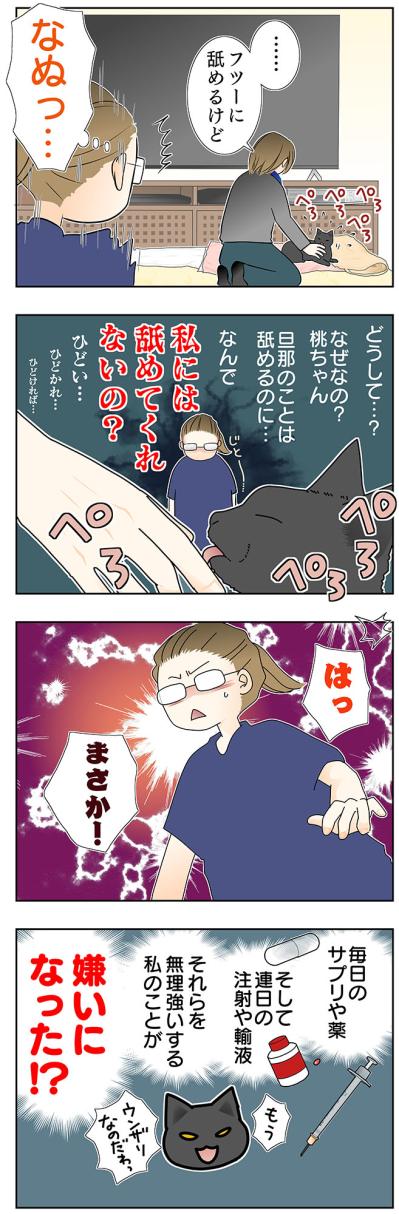 【マンガ・老猫日誌＃55】桃姐から嫌われちゃった！？〜19歳の元保護猫・桃姐（サムネイル画像3）