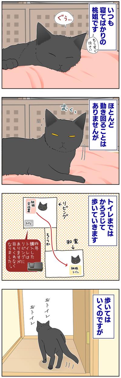 【マンガ・老猫日誌＃46】トイレの前にウロウロする理由は？〜19歳の元保護猫・桃姐（サムネイル画像2）