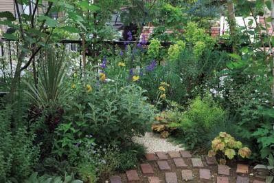 狭さをカバーするガーデニングアイデア「色使い」と「空間利用」の実践5例（サムネイル画像5）