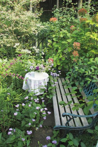 狭さをカバーするガーデニングアイデア「色使い」と「空間利用」の実践5例（サムネイル画像2）