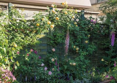 限られた場所を花と緑で彩る！フェンスを活用した「すきまガーデニング」実例6選（サムネイル画像4）