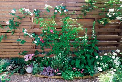 限られた場所を花と緑で彩る！フェンスを活用した「すきまガーデニング」実例6選（サムネイル画像2）