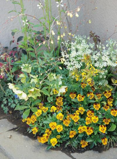 初心者OK！空いている極小すきまもおしゃれなガーデンに変える実例5選（サムネイル画像3）