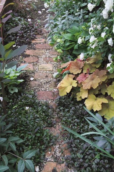 玄関周りの狭い空間を美しく！初心者向け「すきまガーデニング」実用アイデア5選（サムネイル画像2）