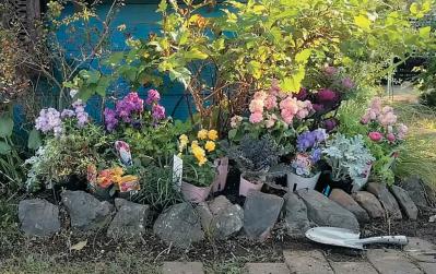 全国からファン殺到！ 人気園芸店【フローラ黒田園芸】直伝！ 春まで長く楽しめる花壇の作り方（サムネイル画像5）