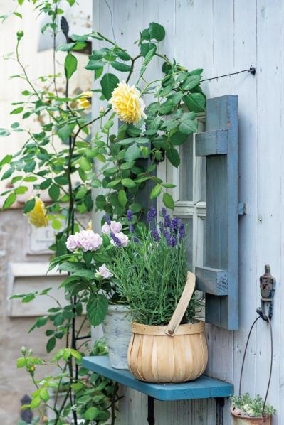 「極小スペースなのにステキ！」目の錯覚テク&便利アイテムで広がるガーデニング計画6選（サムネイル画像7）