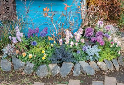 全国からファン殺到！ 人気園芸店【フローラ黒田園芸】直伝！ 春まで長く楽しめる花壇の作り方（サムネイル画像8）