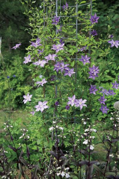 「極小スペースなのにステキ！」目の錯覚テク&便利アイテムで広がるガーデニング計画6選（サムネイル画像4）