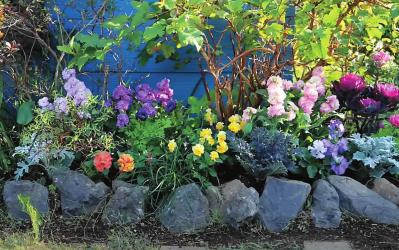 全国からファン殺到！ 人気園芸店【フローラ黒田園芸】直伝！ 春まで長く楽しめる花壇の作り方（サムネイル画像2）