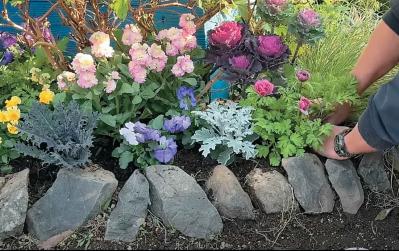 全国からファン殺到！ 人気園芸店【フローラ黒田園芸】直伝！ 春まで長く楽しめる花壇の作り方（サムネイル画像7）