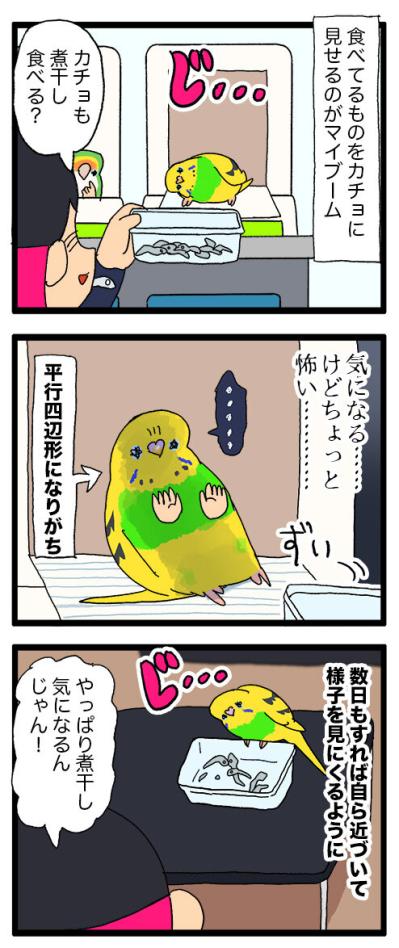 煮干し絶交事件も！？セキセイインコと私の午後【鳥マンガ #151】（サムネイル画像4）
