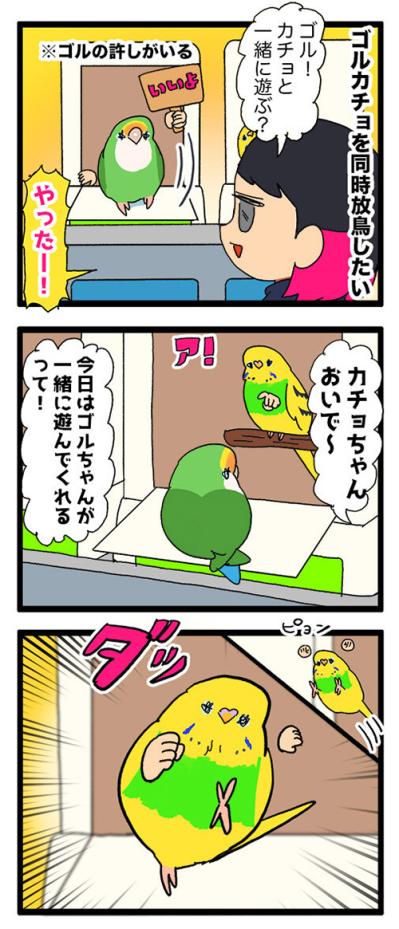 不器用すぎるセキセイインコ。でも失敗は知られたくない？【鳥マンガ #153】（サムネイル画像4）